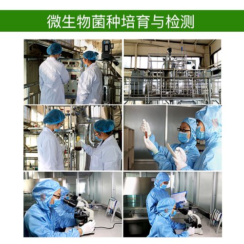 EM菌種自制花肥全攻略 魚腸菜葉果皮廚余變廢為寶，漚肥腐熟一學就會