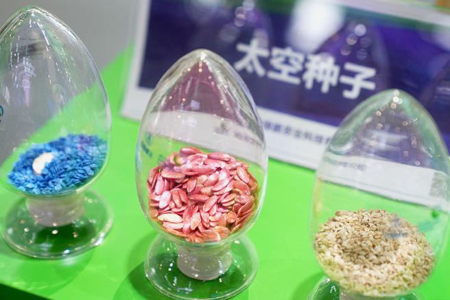 航天育種 40余次搭載實驗，從太空到田間的種子革命